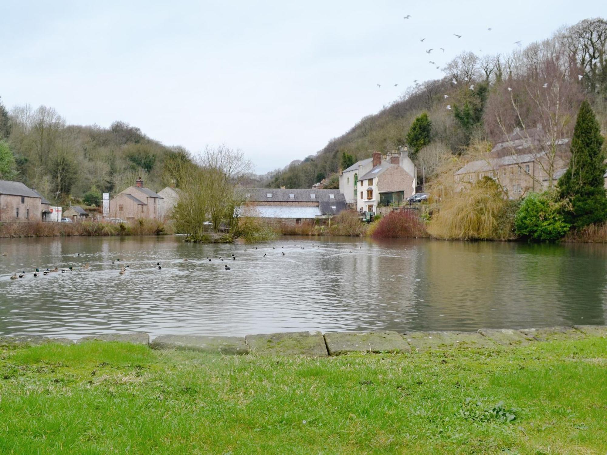 Mill Pond Cottage クロムフォード エクステリア 写真